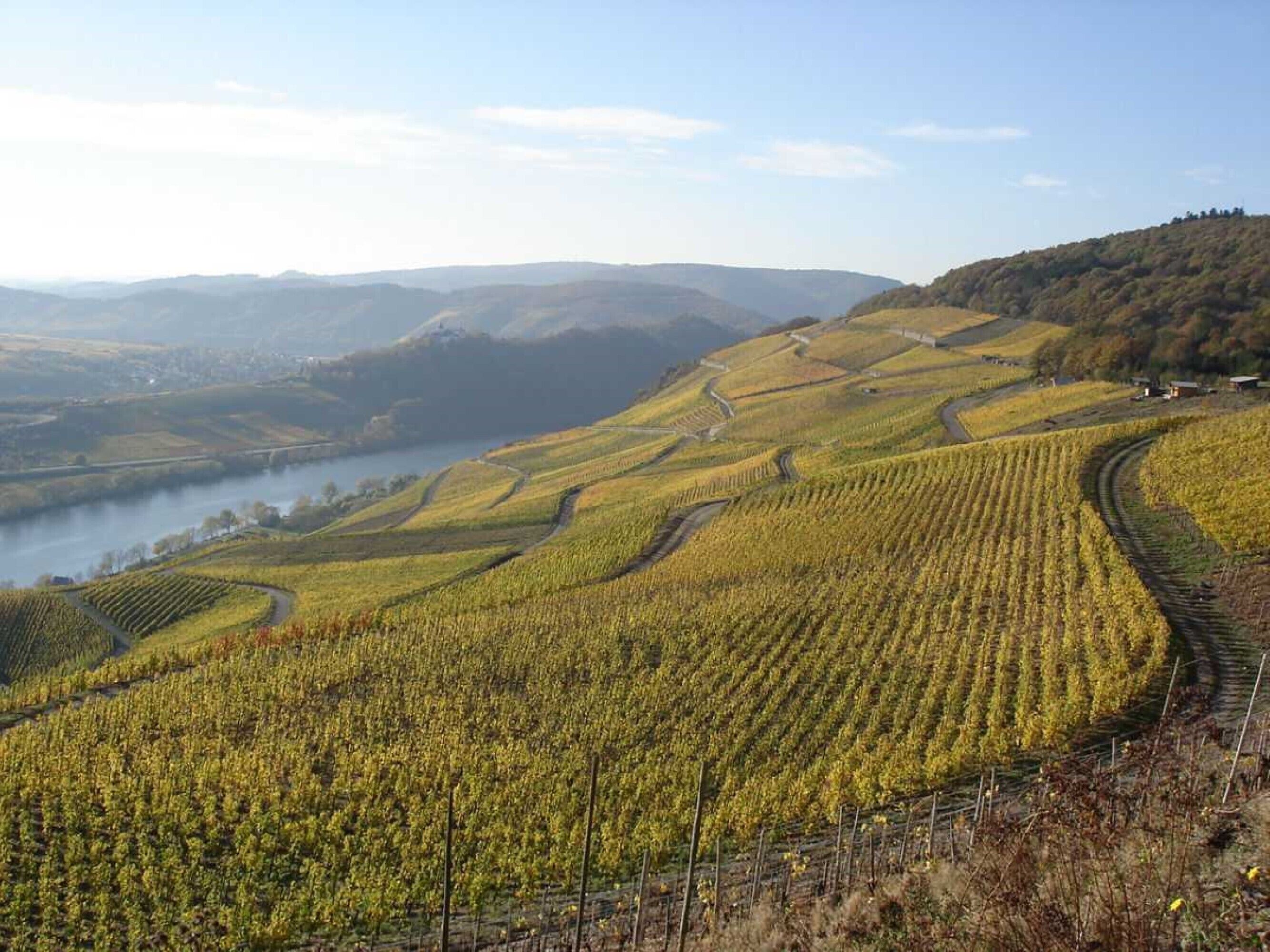 Die Weinberge rund um Merl - die nächste Wanderung startet hinter dem Burghof