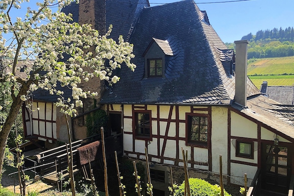 Ferienwohnung mit Moselblick und Freisitz im Weinberg