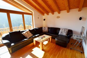 Fernseher, DVD-Player