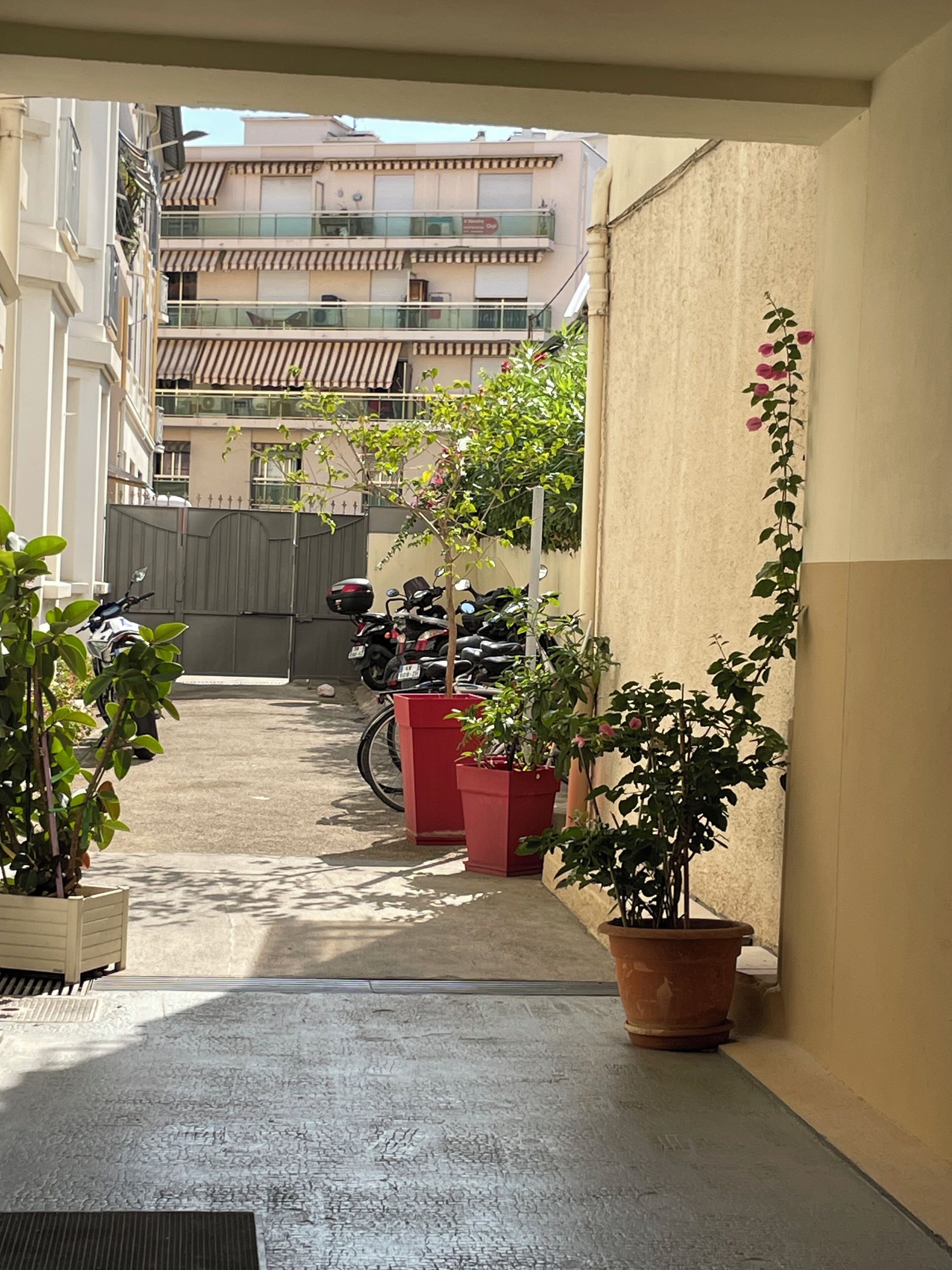 A narrow alleyway with potted plants and a parked motorcycle.