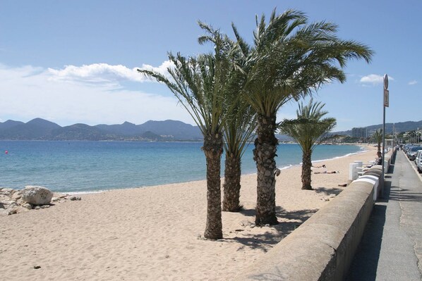 A sandy beach with palm trees and a clear blue sea. - Cannes, 2 rooms Furnished 3 stars 10 mn from the Palais and the beach (Cannes)