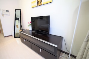 Television