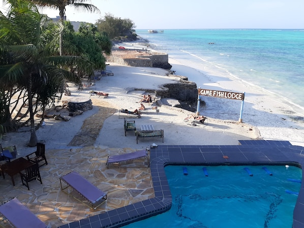 Outdoor pool, sun loungers