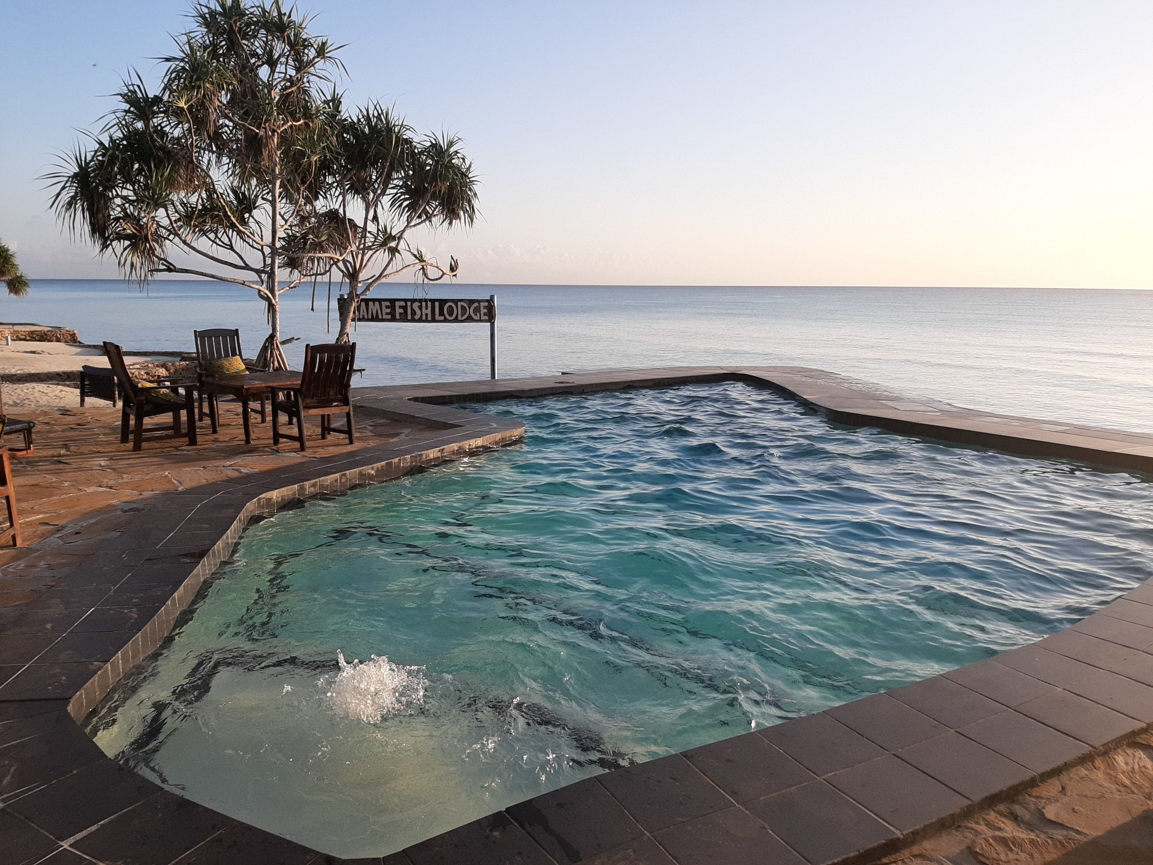 Outdoor pool, sun loungers