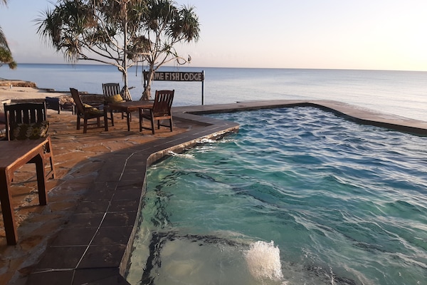 Outdoor pool, sun loungers