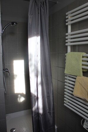 Douche, sèche-cheveux, serviettes fournies, papier toilette