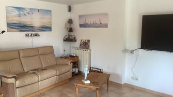 Télévision, cheminée, lecteur de DVD, livres