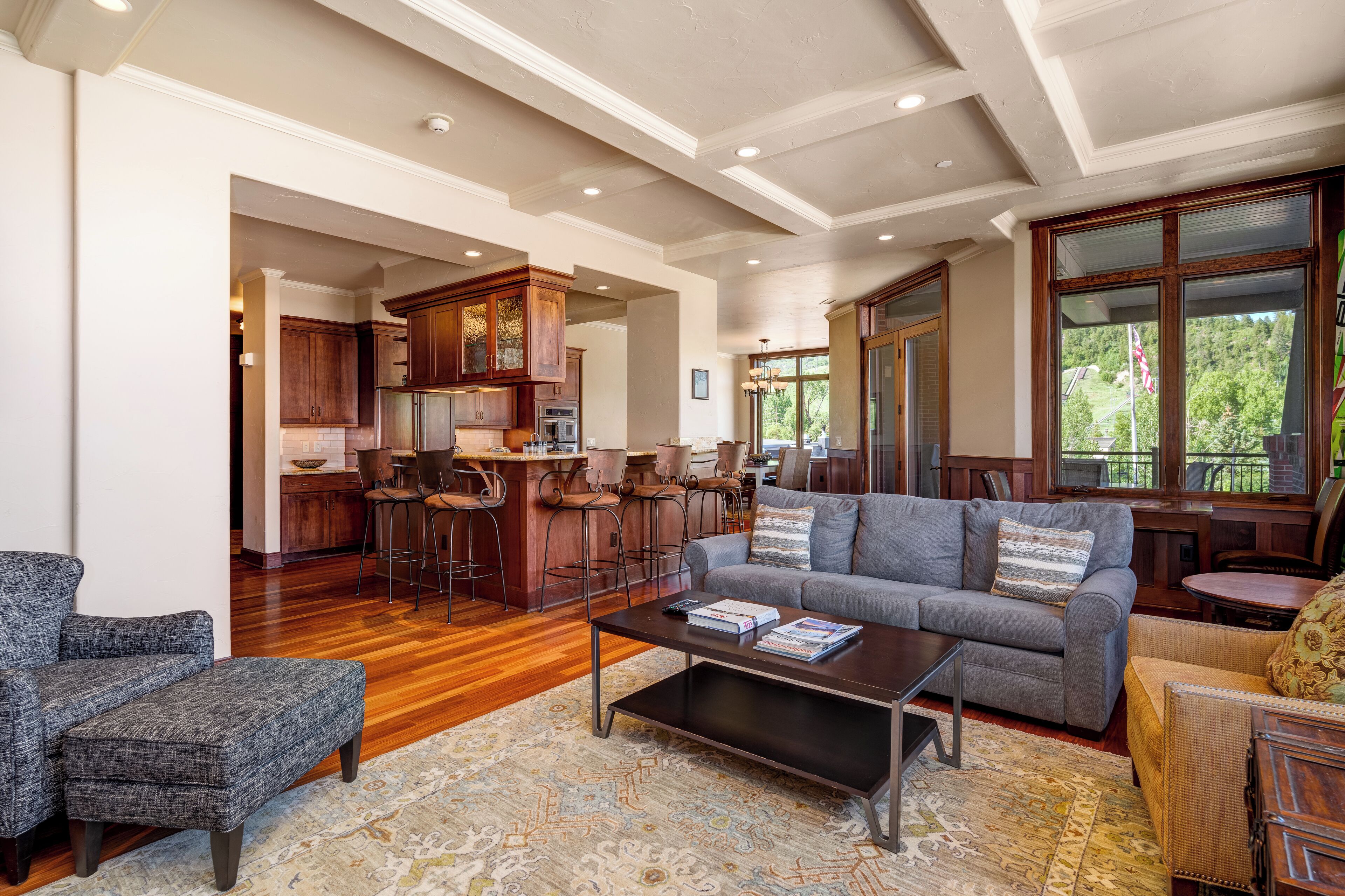 Televisión, chimenea, reproductor de DVD, videoteca