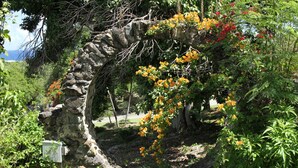 A stone archway surrounded by lush greenery and orange flowers. - Salt River Sugar Mill (Christiansted)