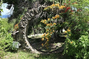 Stroll through a serene garden setting, surrounded by lush greenery and vibrant flowers beneath a natural stone archway.