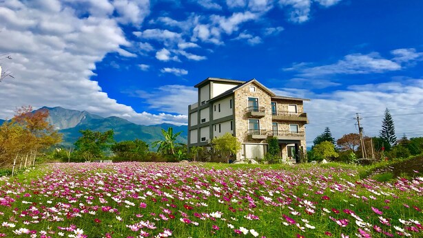 A two-story building with a stone facade, surrounded by a field of pink and white flowers, under a partly cloudy sky. - Floral Land B&B (Shoufeng)
