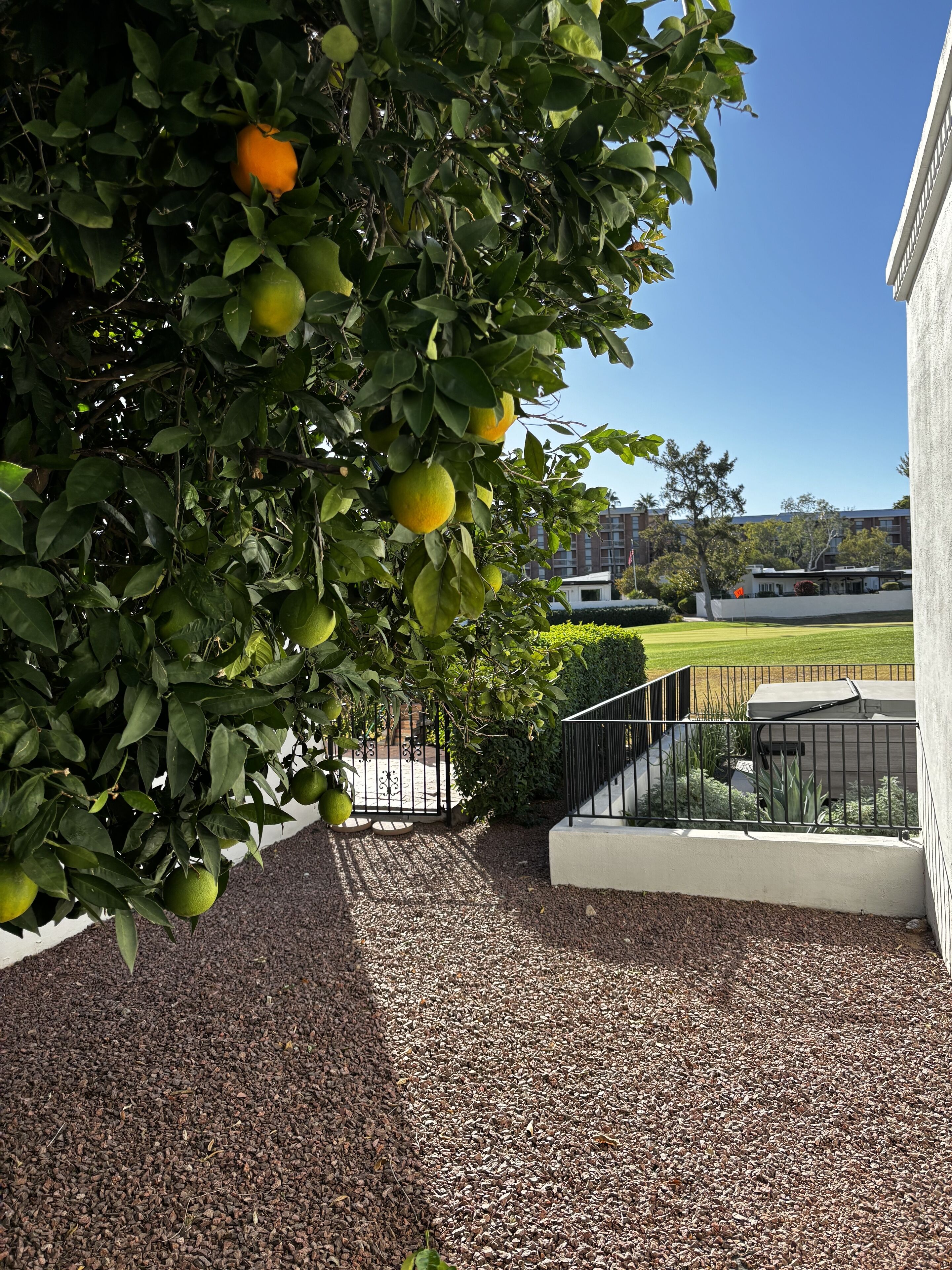 Terrein van de accommodatie