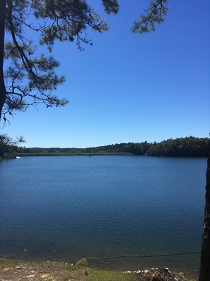 Beach - Harrods Hideaway on Lake Norrell , Arkansas (sleeps 6) (Alexander)