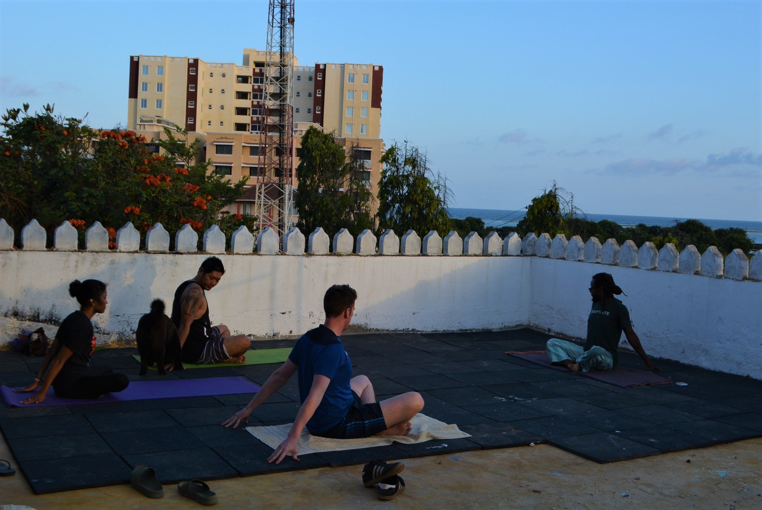 Un grupo de personas practicando yoga sobre colchonetas al aire libre, con un edificio y una valla blanca al fondo.