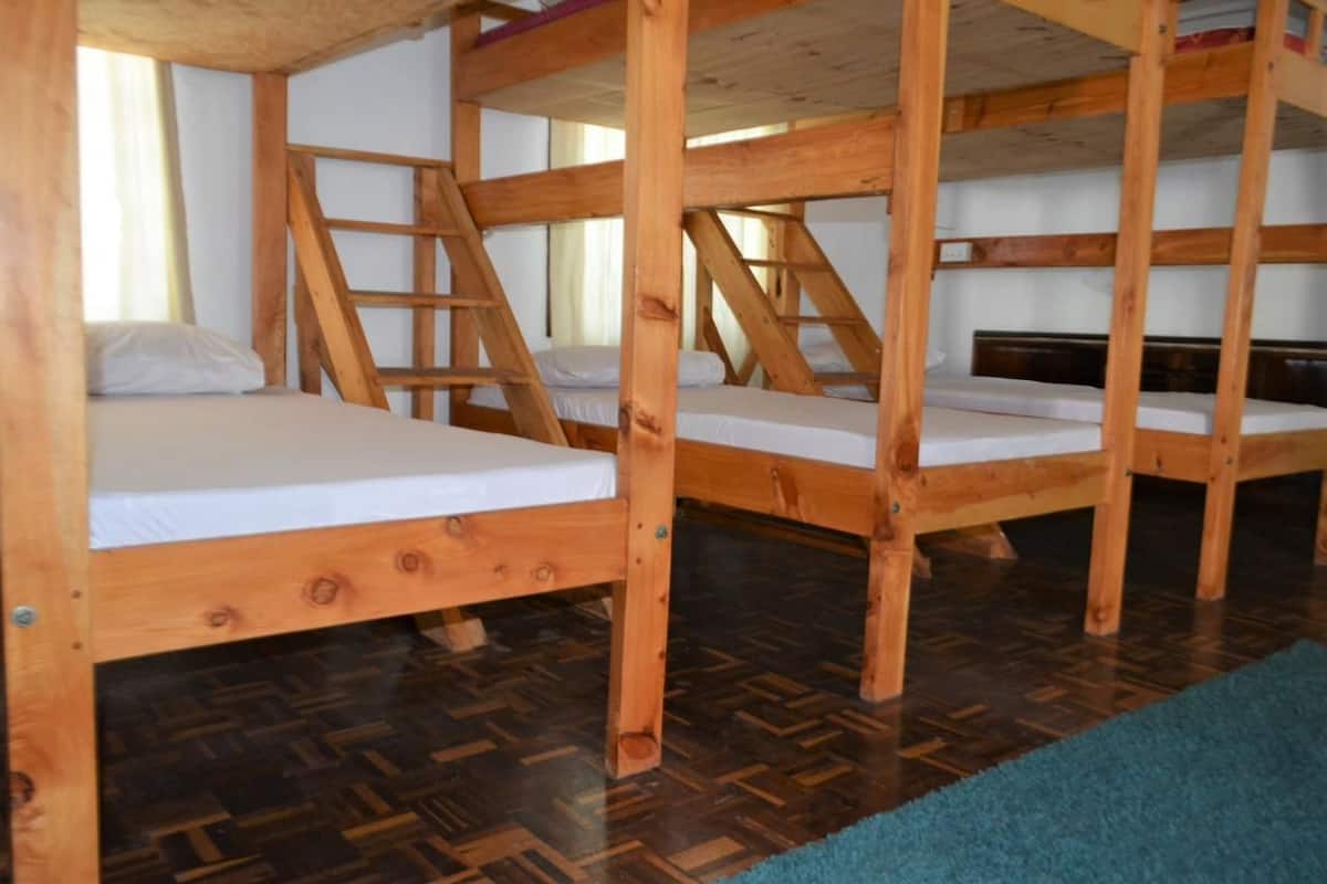 Premium Shared Dormitory, Mixed Dorm | Iron/ironing board, free WiFi