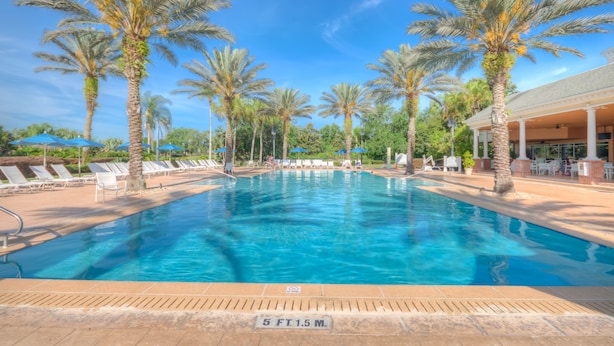 A swimming pool with palm trees, lounge chairs, and umbrellas.