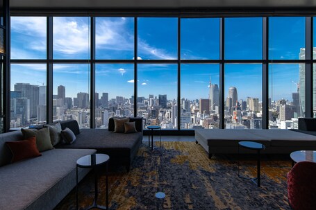 THE BLOSSOM HIBIYA – Affordable hotel in Tokyo