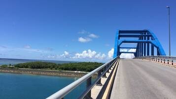 Un puente azul con una carretera y barandillas, que da vistas a una masa de agua y vegetación.
