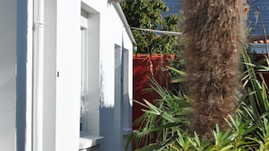 Un edificio blanco con techo de tejas, una palmera alta y plantas verdes en primer plano.