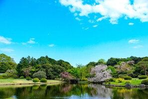 Point of interest - APA Hotel Shinjuku Kabukicho Chuo (Tokyo)