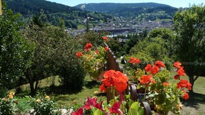 A garden with red flowers and a view of a town in the background. - Charming 4* chalet with panoramic view, south-facing, sleeps 6. (Gérardmer)