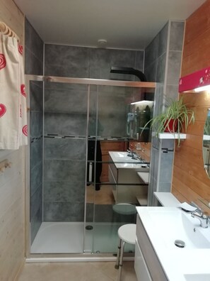 Shower, hair dryer, toilet paper