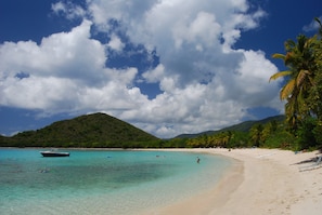 Beach - Your TROPICAL Yellowstone ! (west end tortola)