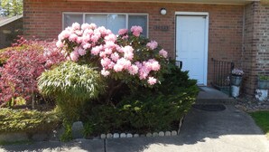 En murstensbygning med en hvid dør og en garageport. En stor busk med lyserøde blomster står foran døren.