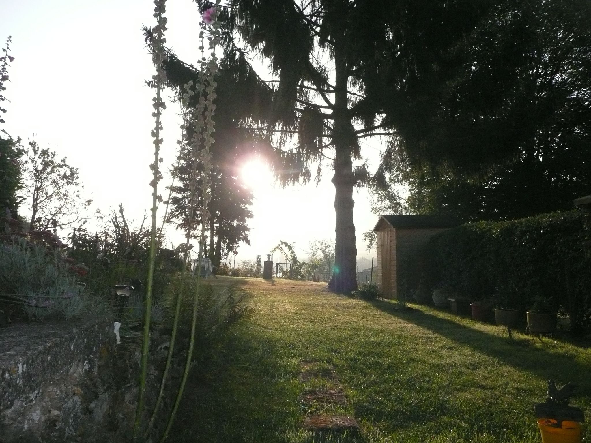 A garden with a pathway leading to a wooden structure, surrounded by trees and plants.