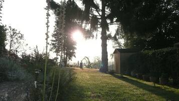 A garden with a pathway leading to a wooden structure, surrounded by trees and plants.