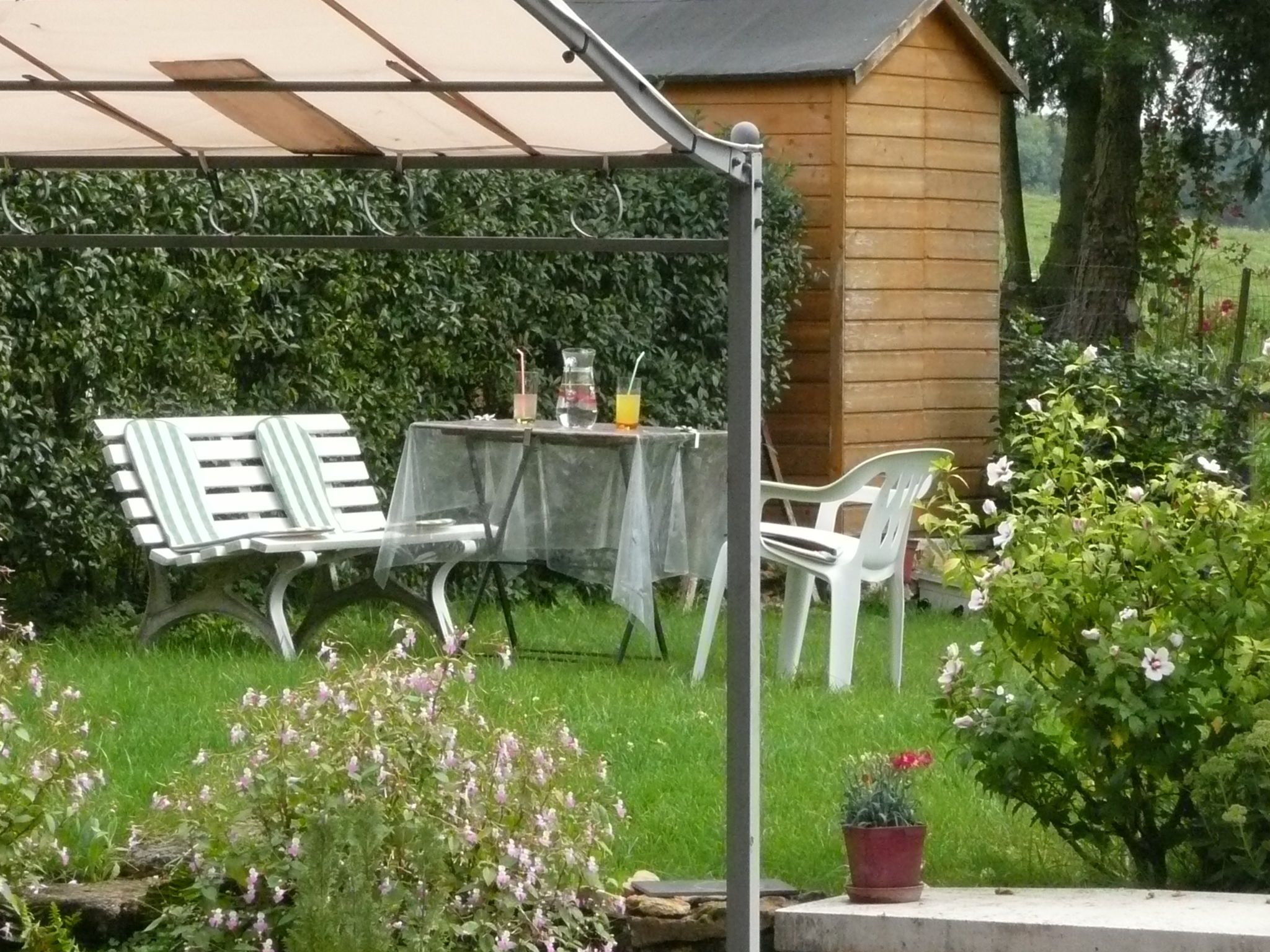 A patio with a table and chairs, a wooden shed, and a garden with flowers and a hedge.