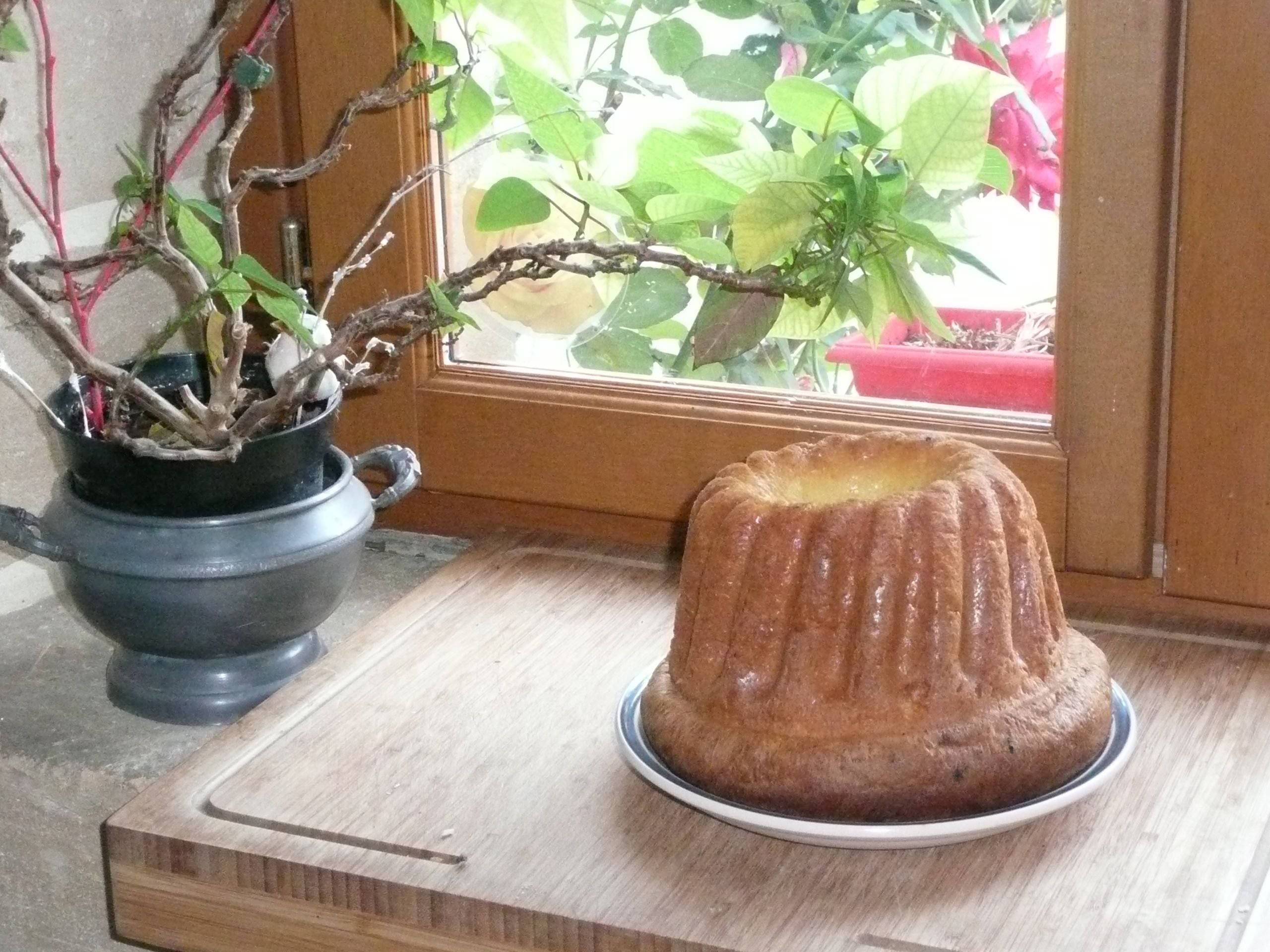 Een bundt cake op een bord, op een houten ondergrond, nabij een raam met een potplant.