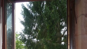Een raam met uitzicht op een tuin, een houten bankje en een decoratieve vaas op de vensterbank.