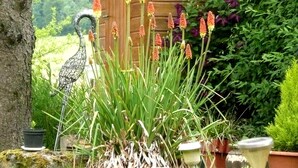 Een tuin met hoge planten, een houten constructie en een metalen sculptuur.