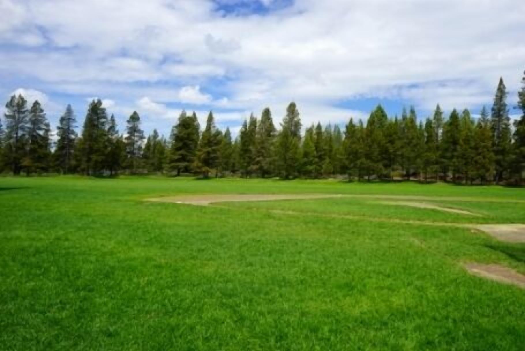 A grassy field with a dirt path and a line of trees in the background.