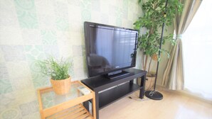 Standard Room, 1 Bedroom | Television