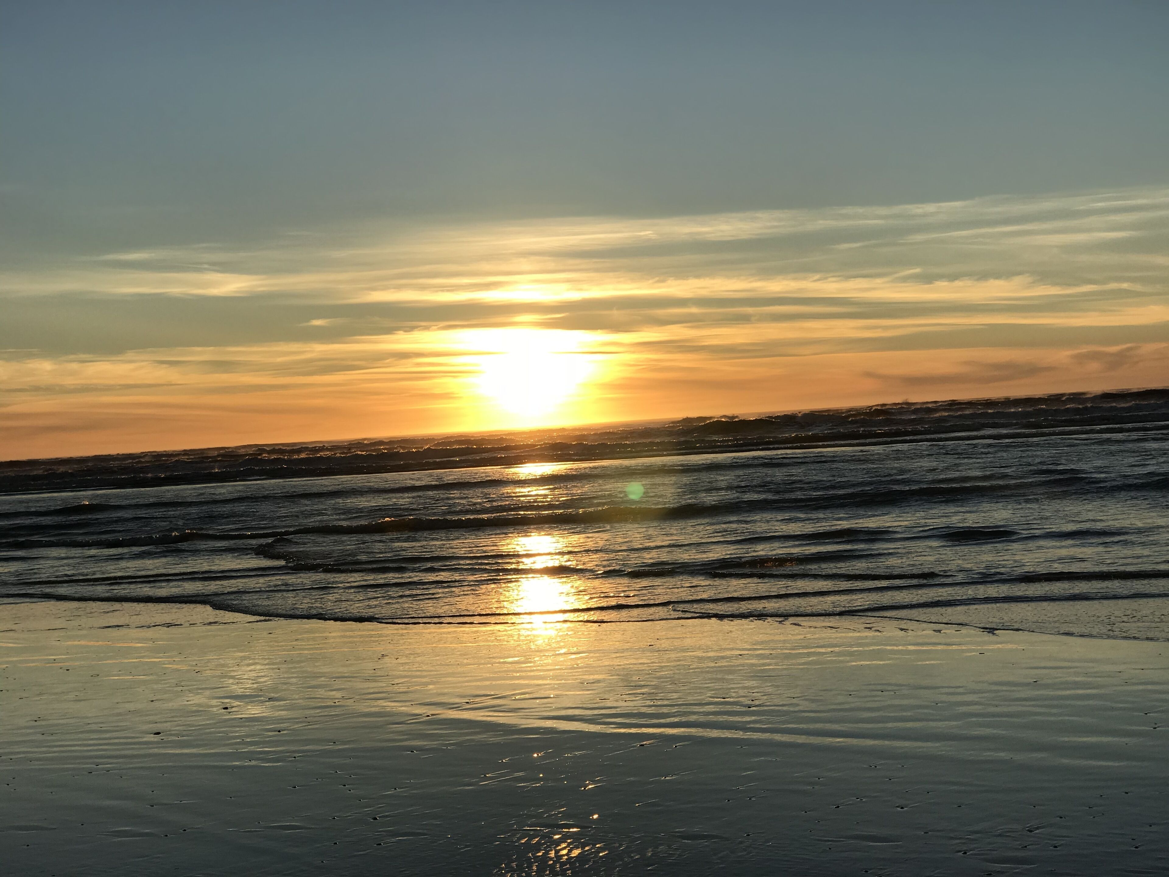 Plage à proximité, chaises longues, serviettes de plage