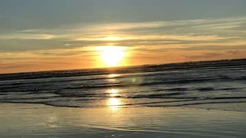 Plage à proximité, chaises longues, serviettes de plage