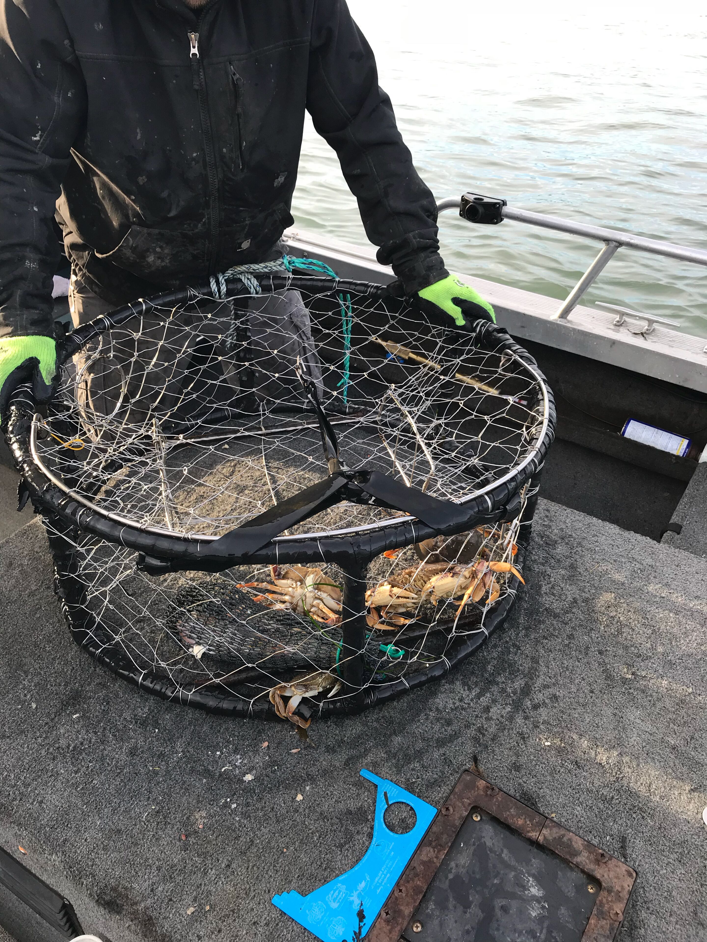 A person holding a large crab pot on a boat.