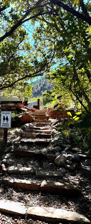 Property grounds - 
Private river access. Fisherman paradise!  World Class Skiing and Biking! (Glenwood Springs)