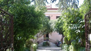 A narrow, tree-lined street leading to a building with a red roof and a staircase. - Lady Ida (Vietri sul Mare)