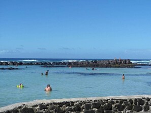 Beach - A Rainforest Eco-Lodge on the Hamakua Coast (Hilo)