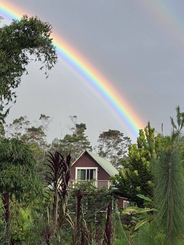 Exterior - A Rainforest Eco-Lodge on the Hamakua Coast (Hilo)