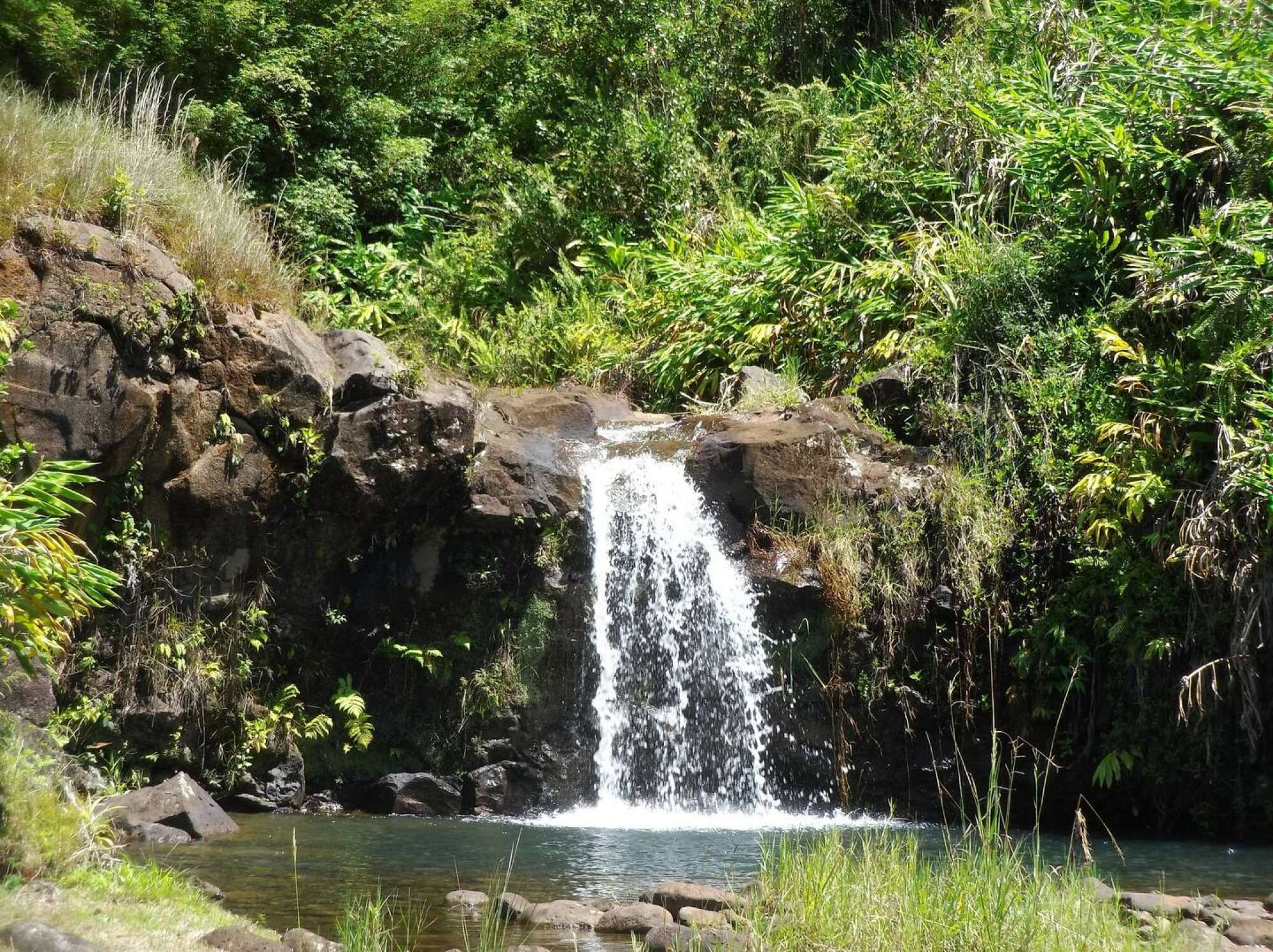 A waterfall cascading over rocks into a clear pool surrounded by lush greenery.