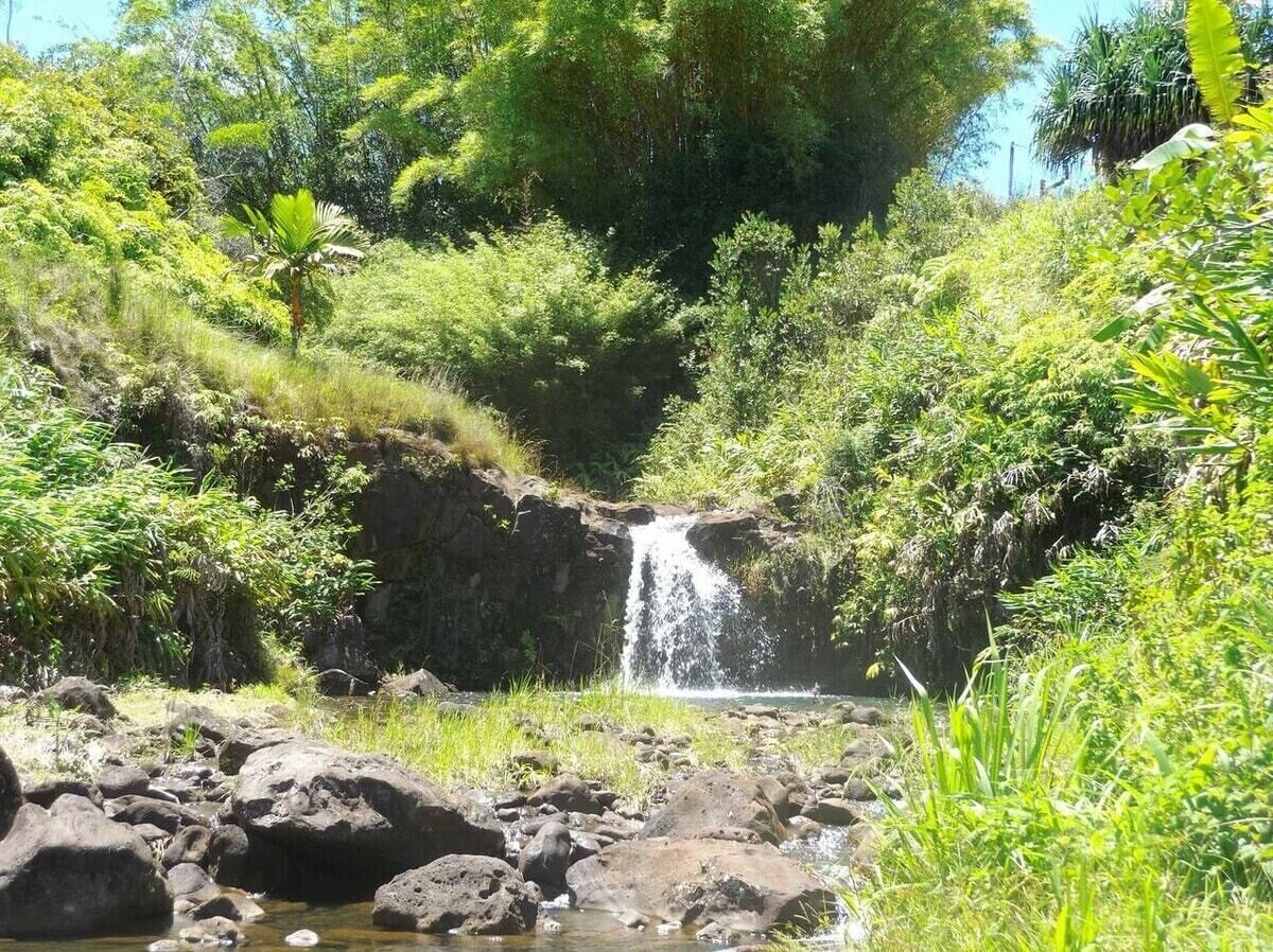 A waterfall in a lush, green forest setting with rocks and vegetation around.