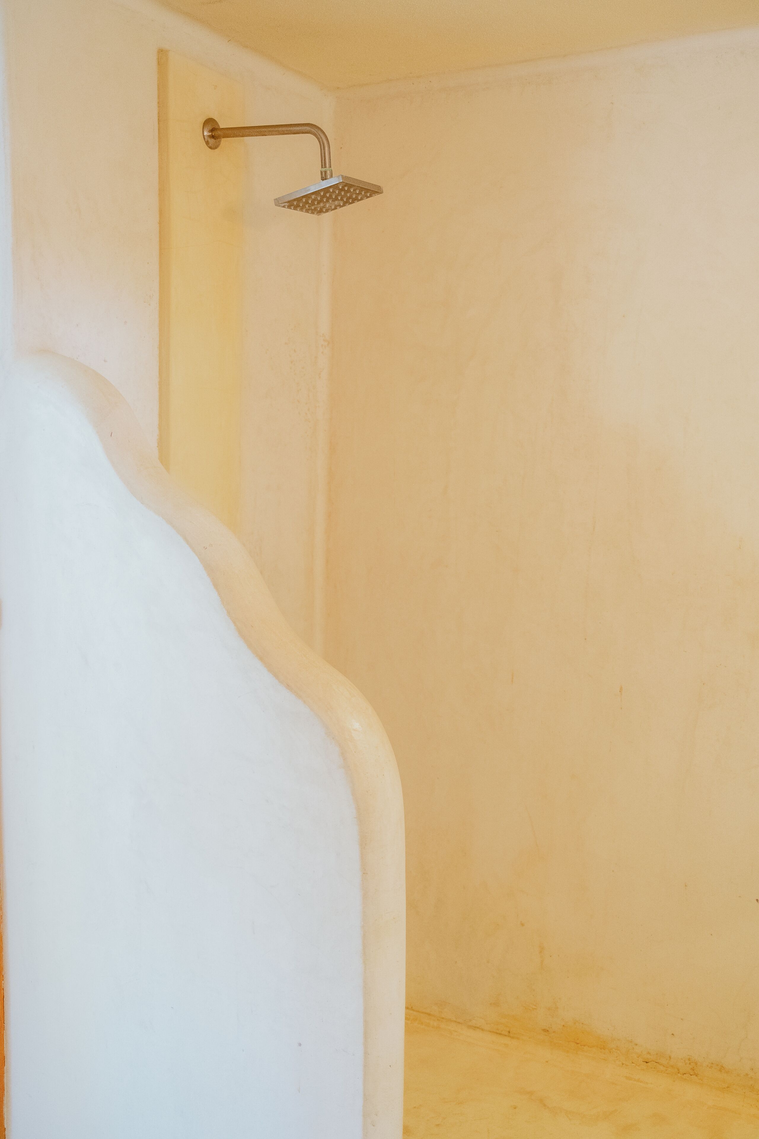 A bathroom with a shower area, a white bathtub, and a plain wall.
