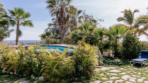 A pool surrounded by lush greenery and palm trees, with a clear view of the ocean in the background. - Villa Gardenia - Oceanfront House Mango (Todos Santos)