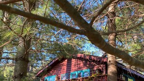 A cabin with a red exterior, surrounded by trees and a wooden fence. - Rustic and Charming one Bedroom cabin. Upgraded pontoon! (Hayward)