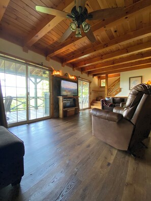 Smart TV, fireplace, DVD player, books