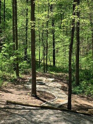 A forested area with a stone fire pit surrounded by trees. - Pet friendly, hot tub, close to Hocking Hills! (McArthur)